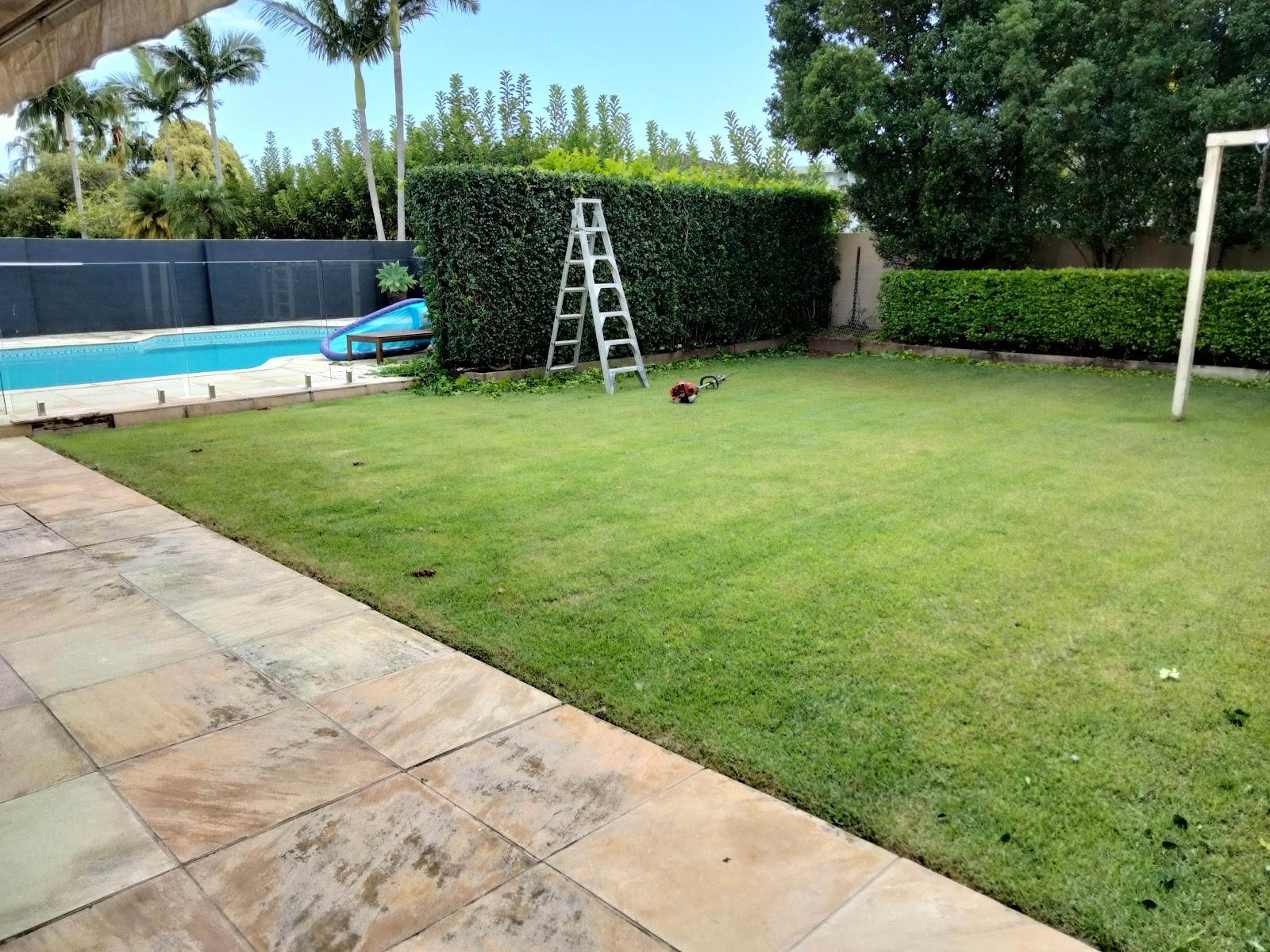 Freshly mown lawn beside a pool with a tall clipped hedge