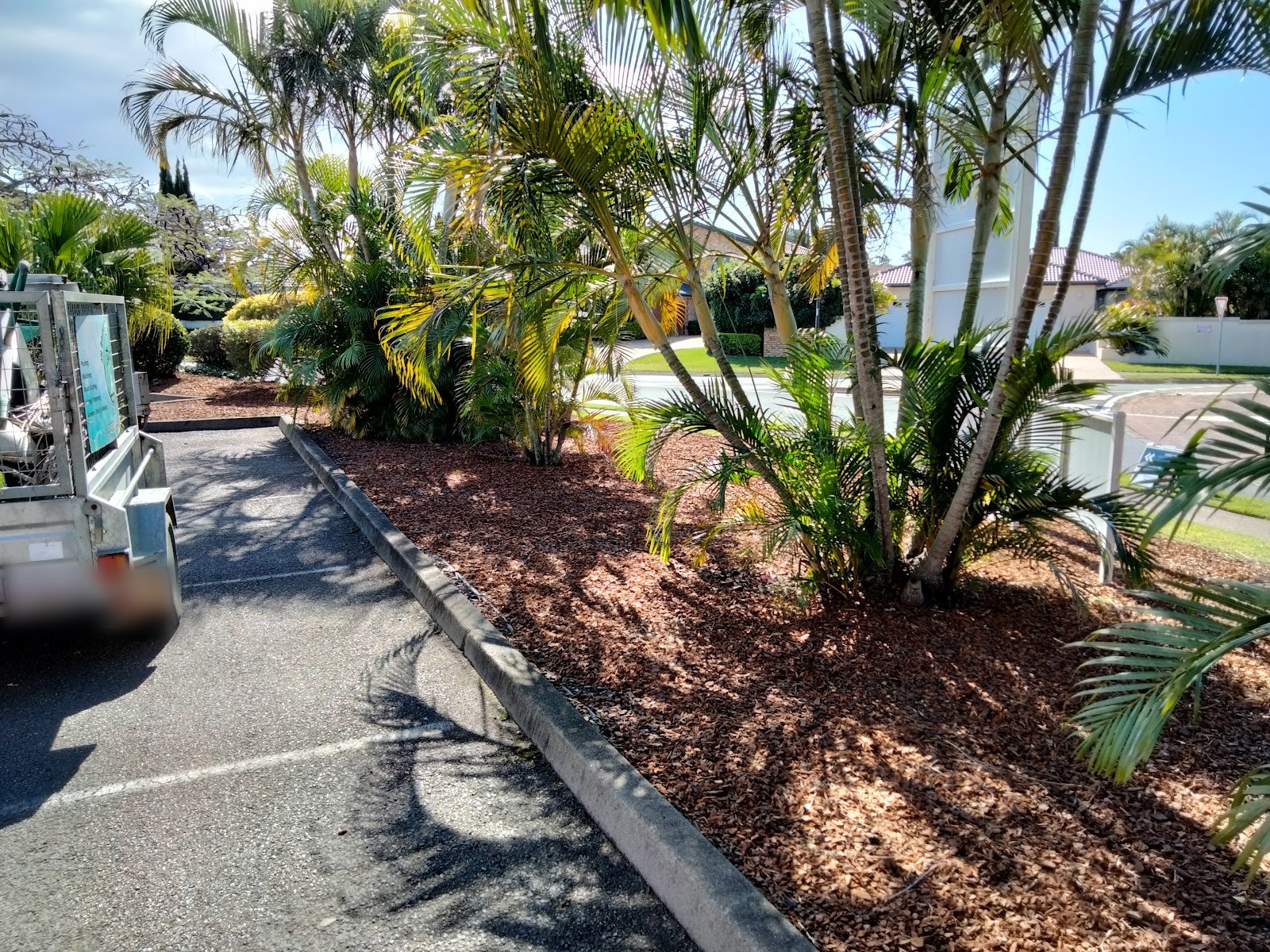Mulched palm bed running along a driveway