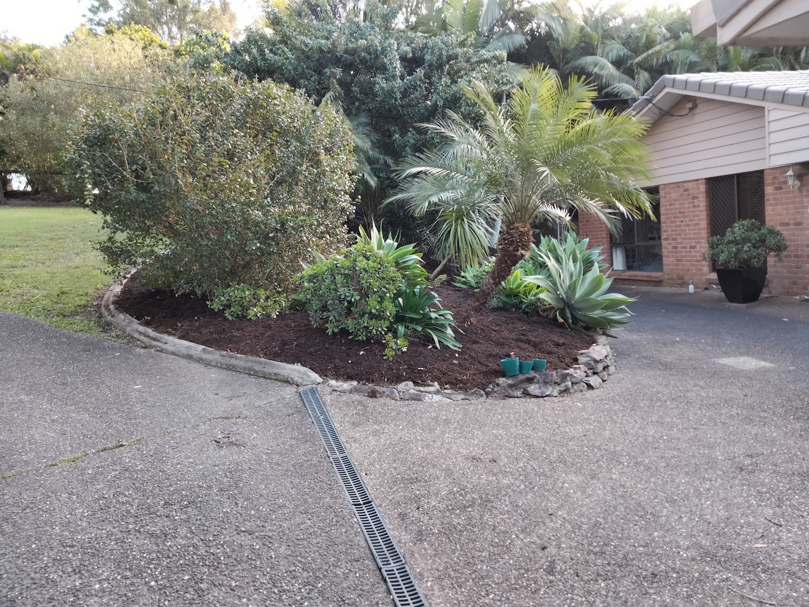 Curved garden bed freshly mulched with palms and agaves beside a driveway
