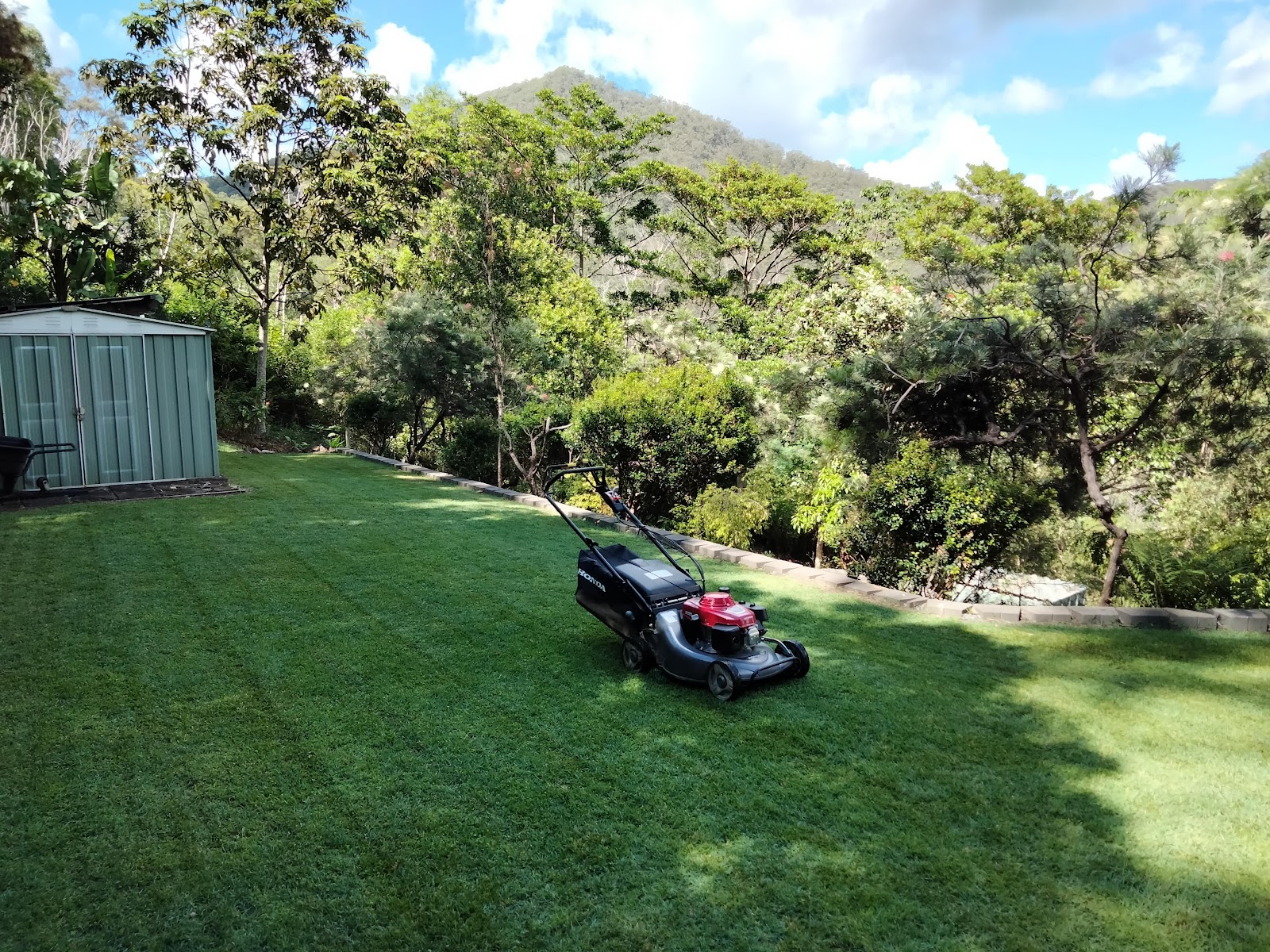 Large sloping hinterland lawn freshly mown, with bush and a mountain behind