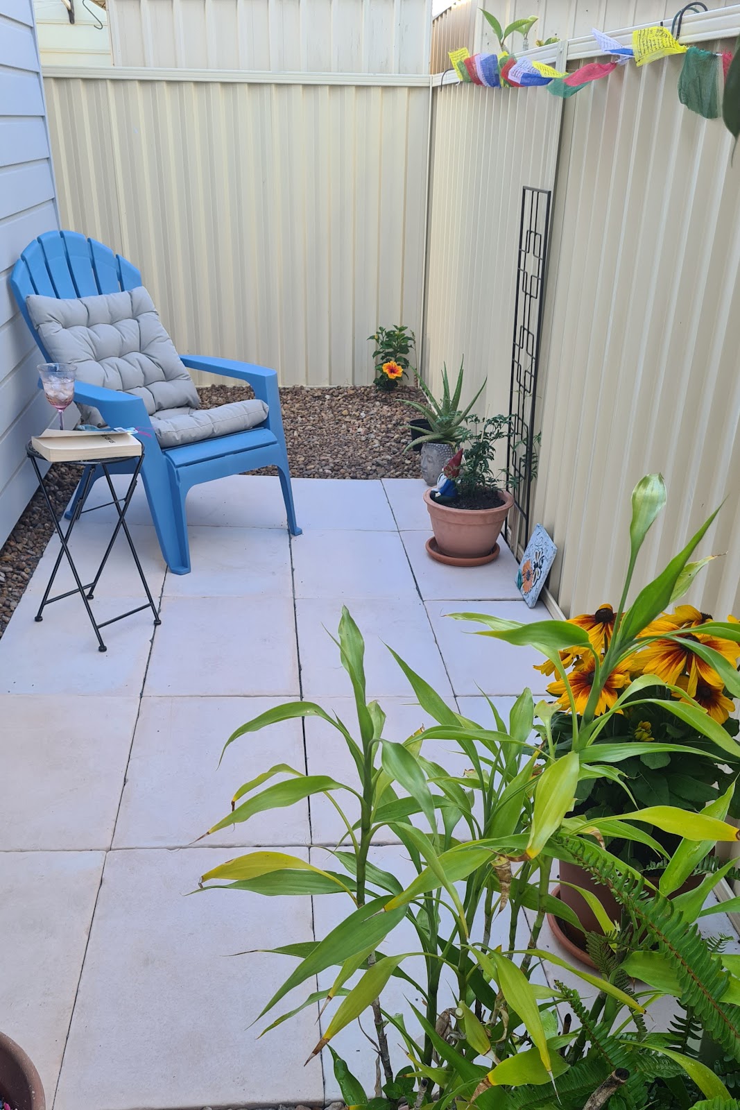Paved side courtyard with a blue outdoor chair and potted plants